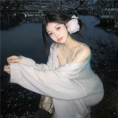 狐狸捕手